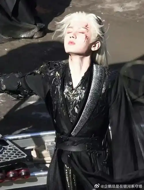 企鹅的成毅蹲蹲群  琪琪太帅啦!富贵宝宝白发超帅哒!