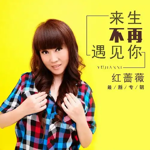 来生不再遇见你 (伴奏)_红蔷薇_高音质在线试听_来生不再遇见你 (伴奏