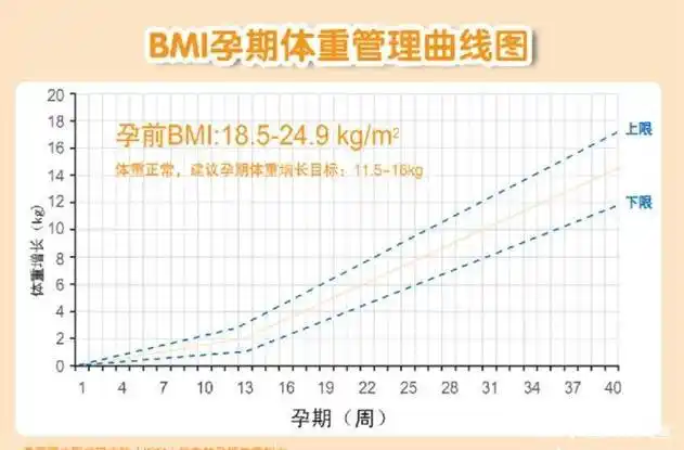 孕期该如何进行体重管理?这几点是关键