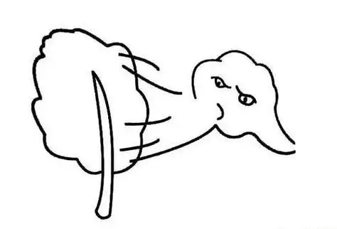 风来了的简笔画有哪些简笔画 台风来了,不要被吹走了喔简笔画 台风来