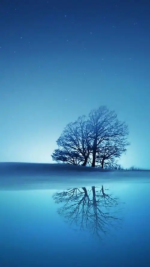 风景蓝色天空海面大树h5背景素材