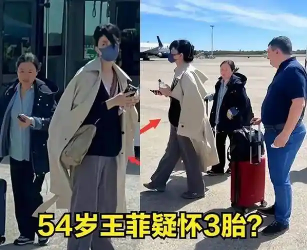 便宜!王菲生三胎是真的吗"怀孕的周"-第1张图片-伊卡博客