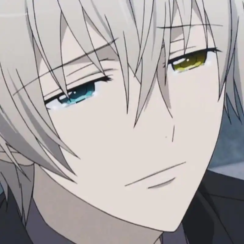 《妖狐×仆ss》中的御狐神双炽是白鬼院凛凛蝶的ss,对凛凛蝶有像忠犬