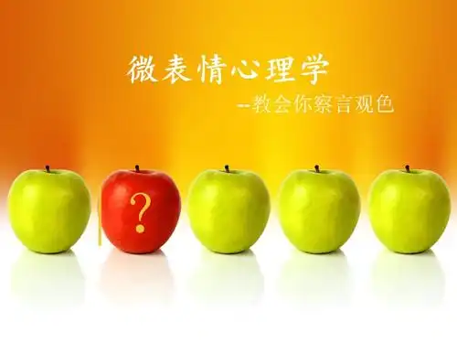 微表情心理学苏云如ppt