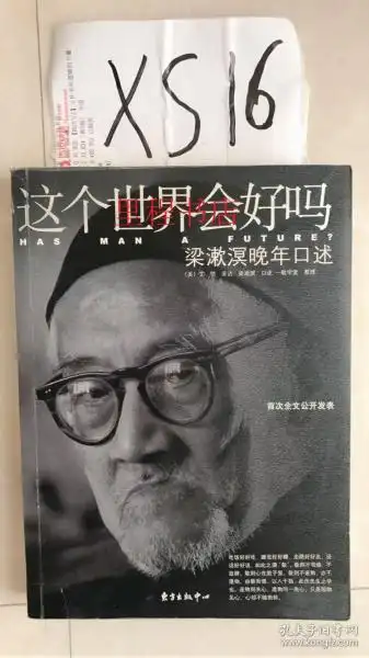 这个世界会好吗: 梁漱溟晚年口述