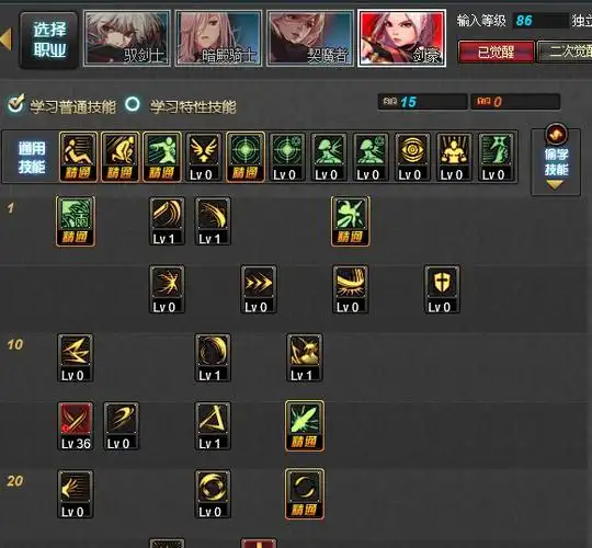 地下城女鬼剑,流浪武士怎么加点,不pk的,要带图.