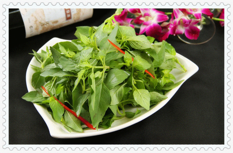 荆芥菜新鲜1斤河南大叶荆芥菜精菜茎芥菜新鲜蔬菜非荆芥种子包邮