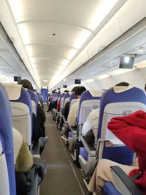 终于上了飞机,一坐到位子上,我就开始等待着午饭的来临,坐在位子上