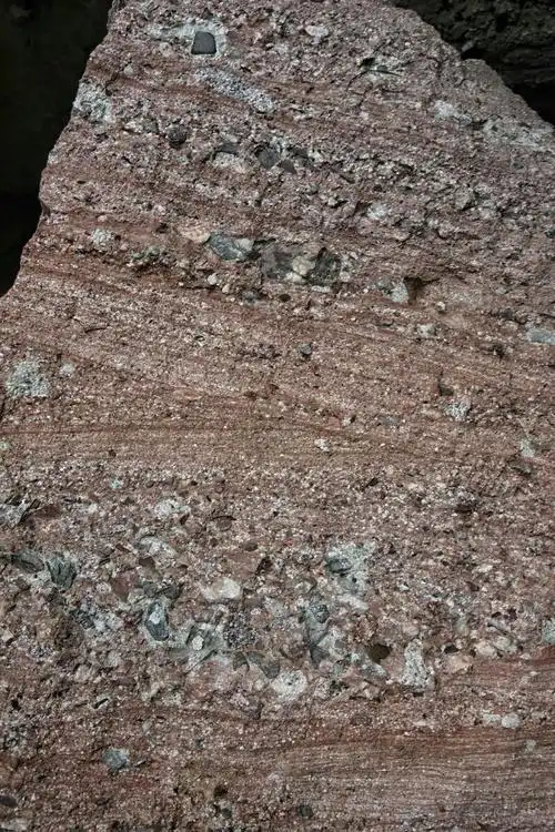 低头瞅瞅,含砾砂岩.