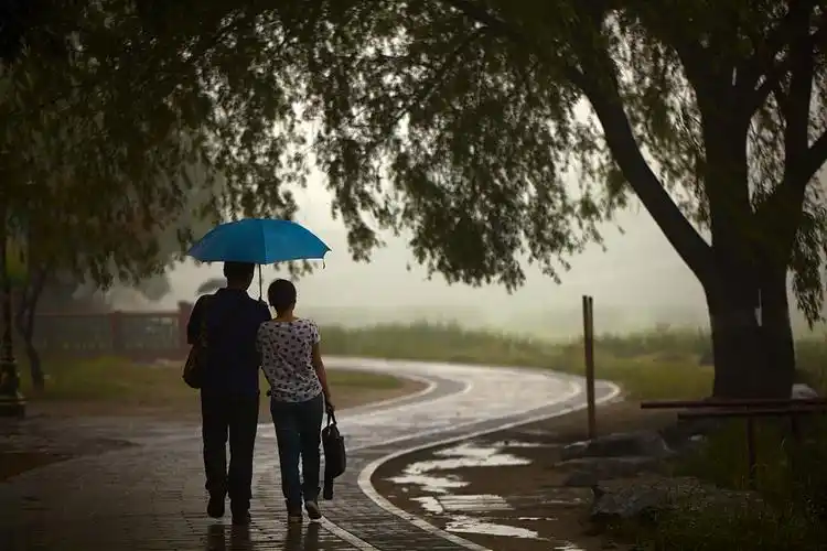 相依相偎在雨中