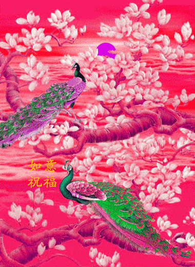 380_520竖版 竖屏gif 动态图 动图