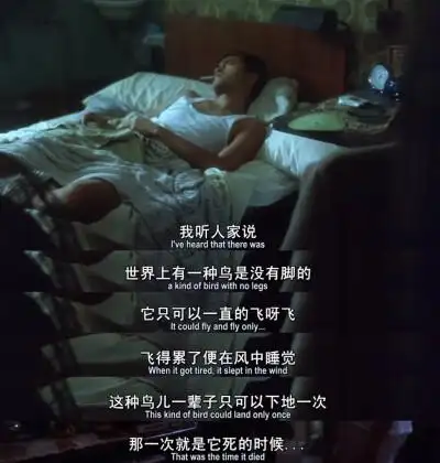 [阿飞正传]王家卫经典电影台词/张国荣/张曼玉/刘德华/刘嘉玲/张学友.