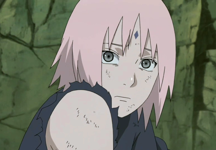 可以召唤出蛞蝓的小樱很显然已经继承了纲手的百豪之术,他从一开始就