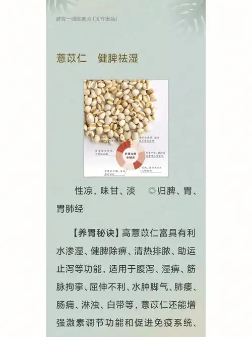 薏苡仁健脾祛湿