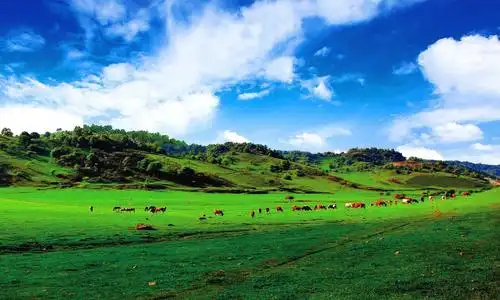 关山牧场两日游