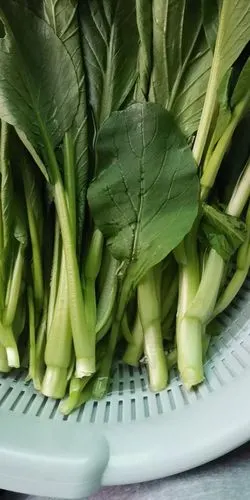 请问这是什么青菜?