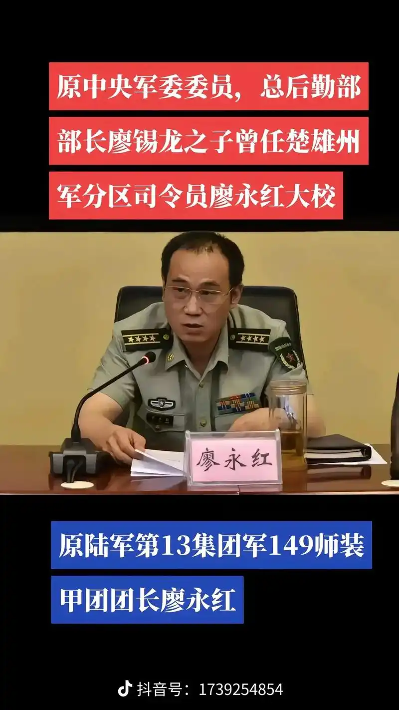 原成都军区司令廖锡龙之子廖永红 - 抖音