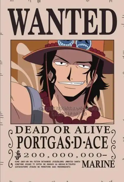 求海贼王艾斯悬赏令