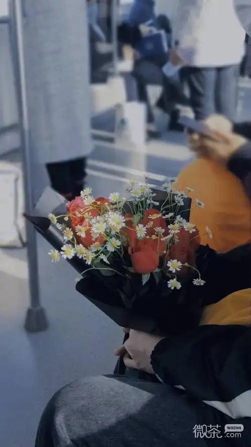 (9张)有意境浪漫的微信背景图2021-06-1600查看效果