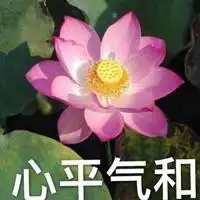 大妈用的老土微信头像图片点击鼠标右键下载