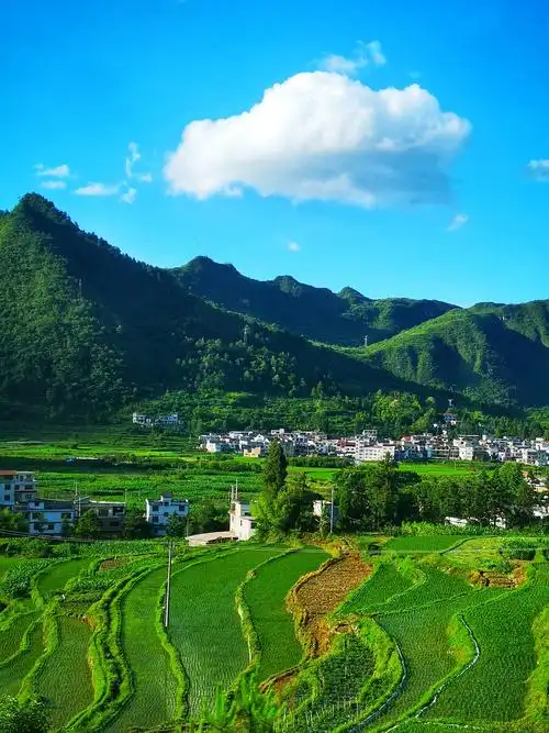 山下的乡村美景