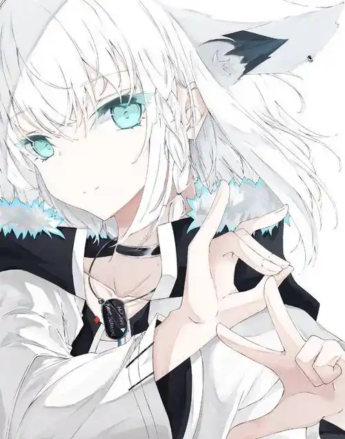 白毛控狂喜的兽耳美少女同人插画感情调和及搭配色彩都很赞