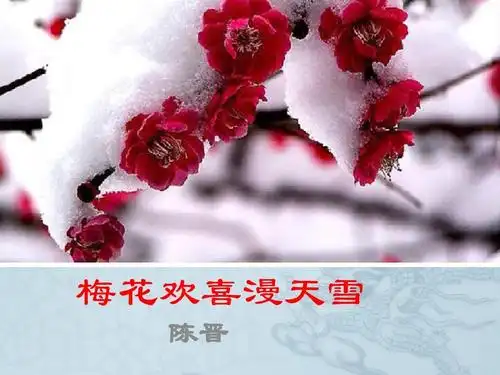 梅花欢喜漫天雪演示文稿