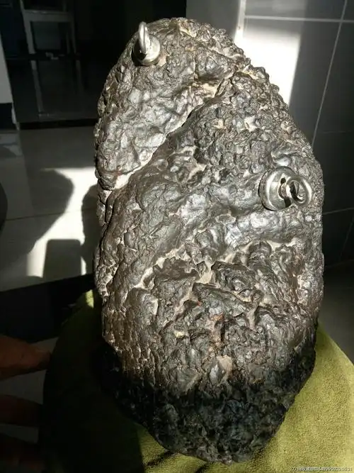 黑珍珠陨石(金蟾望月)(中磁性)