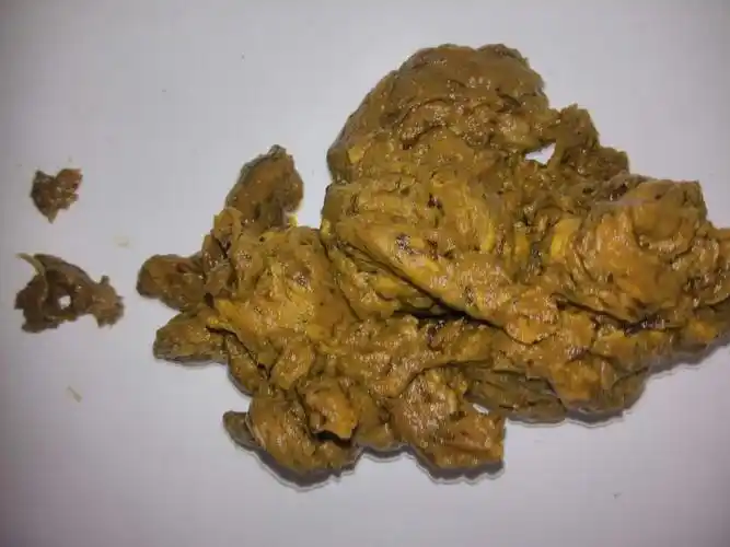 这样大便颜色正常吗