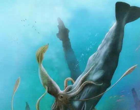 我们在电影中见到的"北海巨妖",或许真的存在,专家给出了证据