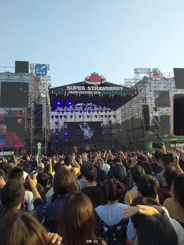 z的相册-广州长隆草莓音乐节