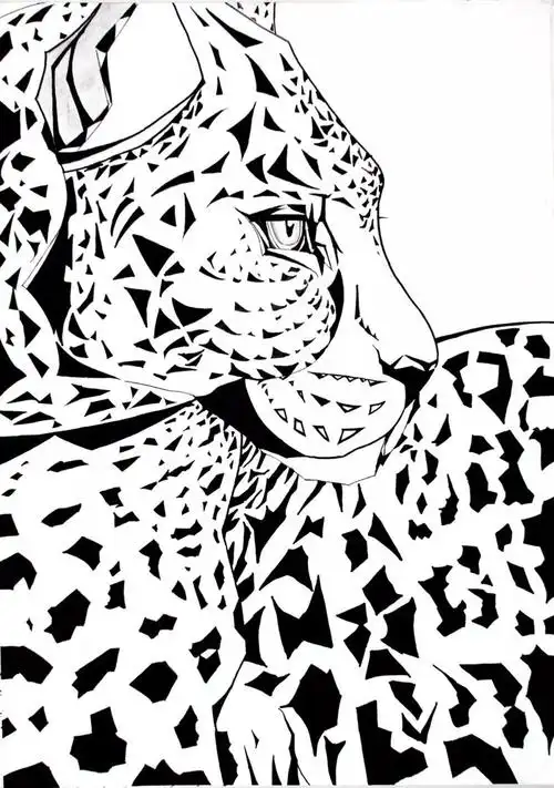 绘画专业班课程回顾 | 动物创意黑白装饰画