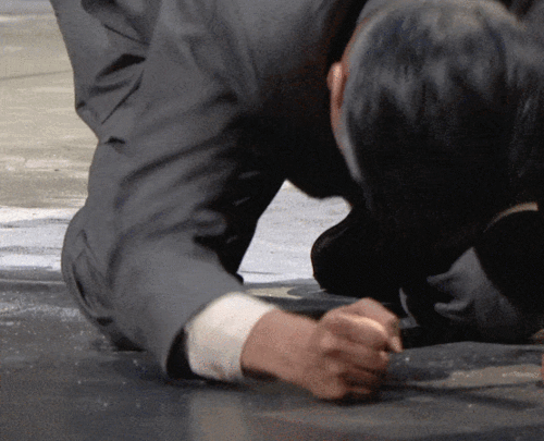 556_450gif 动态图 动图