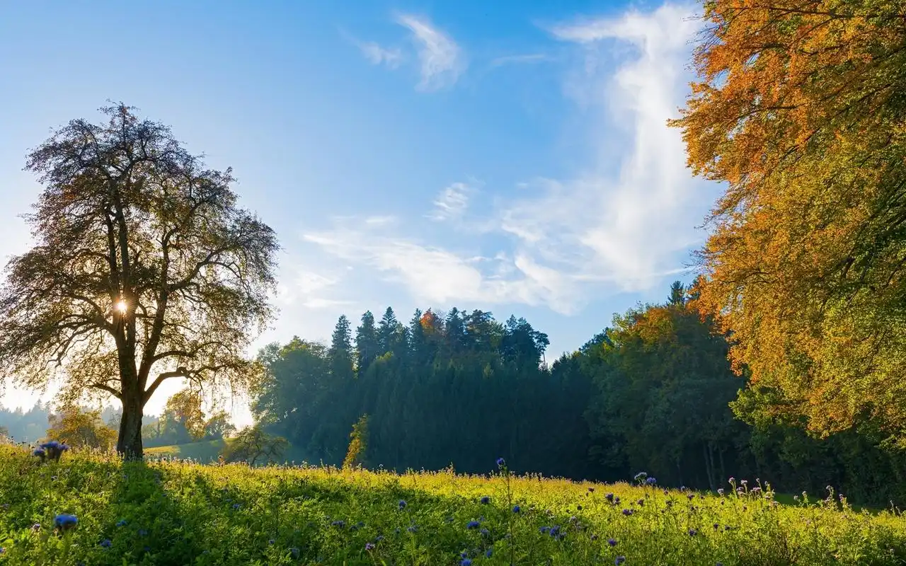大自然深山幽静峡谷唯美风景图片桌面壁纸