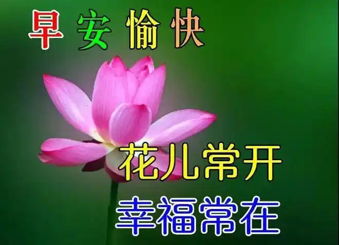 上午好动态图片带字图集漂亮上午好祝福语句子