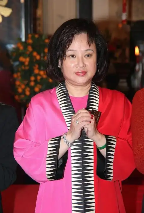 何鸿燊二房四房再登富豪榜仍缺三房三太陈婉珍身家百亿同样富有