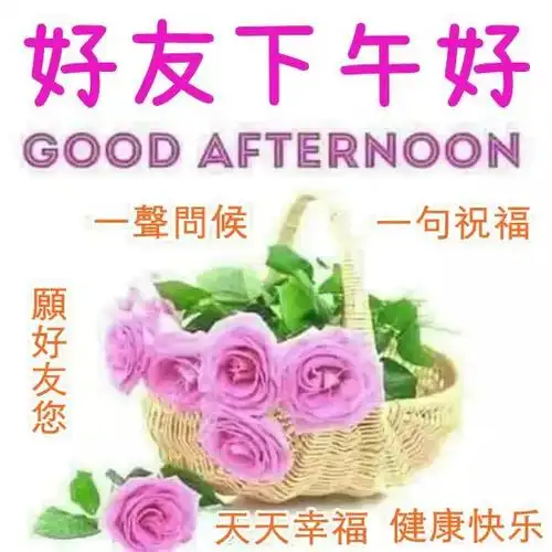 下午好中老年专用表情包最新漂亮的下午好表情图片午后愉快天天好心情