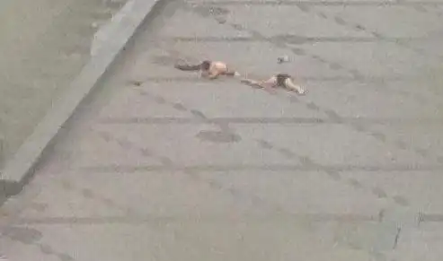 华仁凤凰城女子跳楼摔成两半仅着内衣裤组图