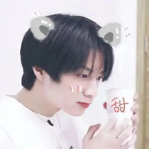 我会觉得用刘耀文小时候做头像的人很可爱