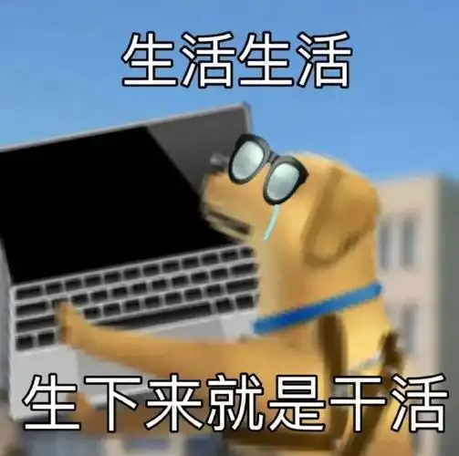 文案##朋友圈文案##显眼包文案##适合朋友圈沙雕文案##搞笑表情包