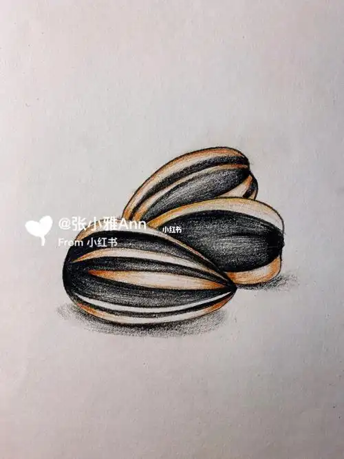 彩铅瓜子