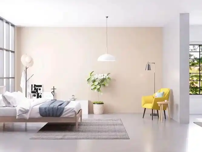 (洪湖路专卖店)攻略_墙漆_乳胶漆_奶茶色_立邦漆色号_家居家装_装修