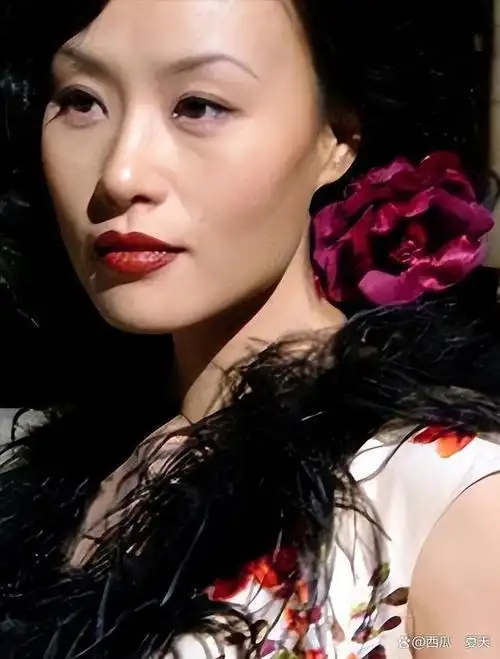 通过阅读邬君梅的故事,我们不仅可以看到一个女演员的成长和奋斗历程