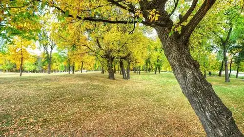 小红书引流的方法