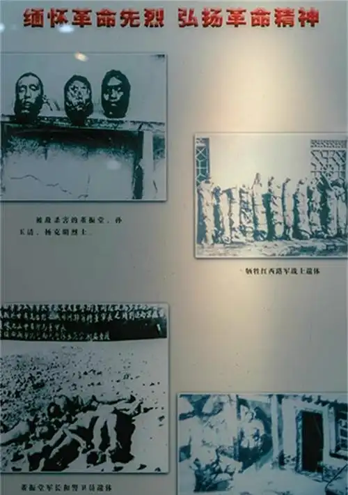当看到杨克明与董振堂被敌人割下头颅的照片时,再一次失声痛哭,昏到在