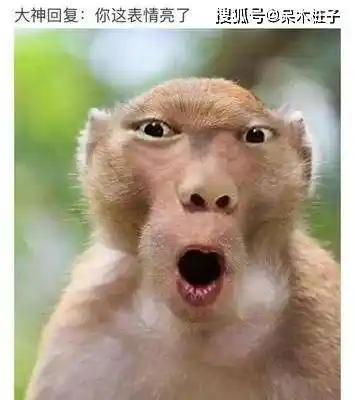 动态搞笑图片超逗尤其是第一张笑得我肚子疼亲们快来看超搞笑哦