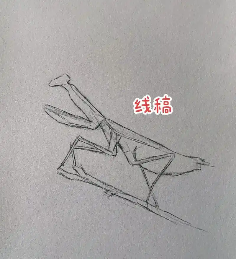 素描螳螂步骤图分享@dou 小助手 @抖音创作者中心 汝不知 - 抖音