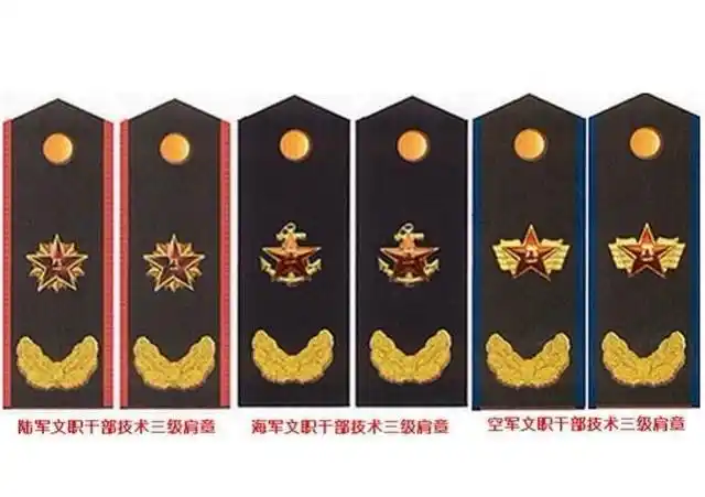 文职干部改革范围广,不仅是动员和医疗系统,这单位不大也应关注