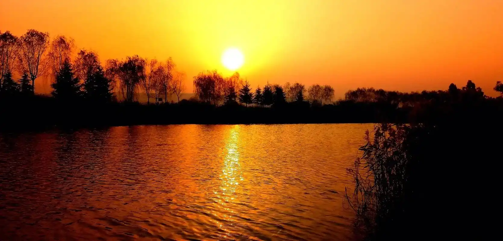 愿晨起的阳光伴随你愉悦的每一天 #感受大自然的气息和美景  - 抖音