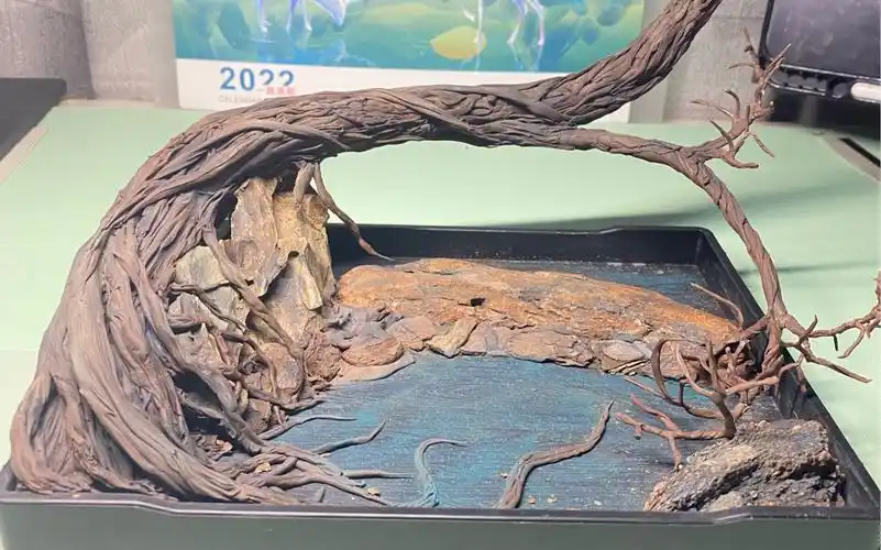 【粘土】粘土树根制作过程